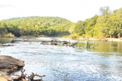 Fail Fail: Rights of forest dwellers in Mhadei  still not settled, still more time sought