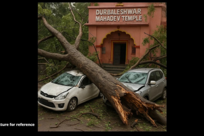 Fallen Tree Damages Vehicles Near Mardol Temple; Firefighters Rescue Trapped People