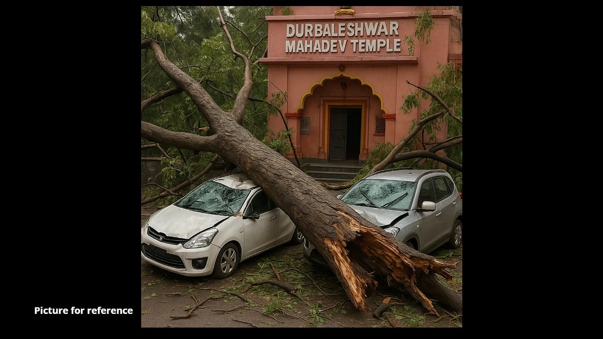 Fallen Tree Damages Vehicles Near Mardol Temple; Firefighters Rescue Trapped People