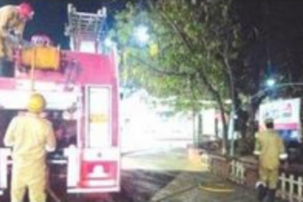 Fallen tree in Aga Khan Park set on fire, citizens irked with burning of waste