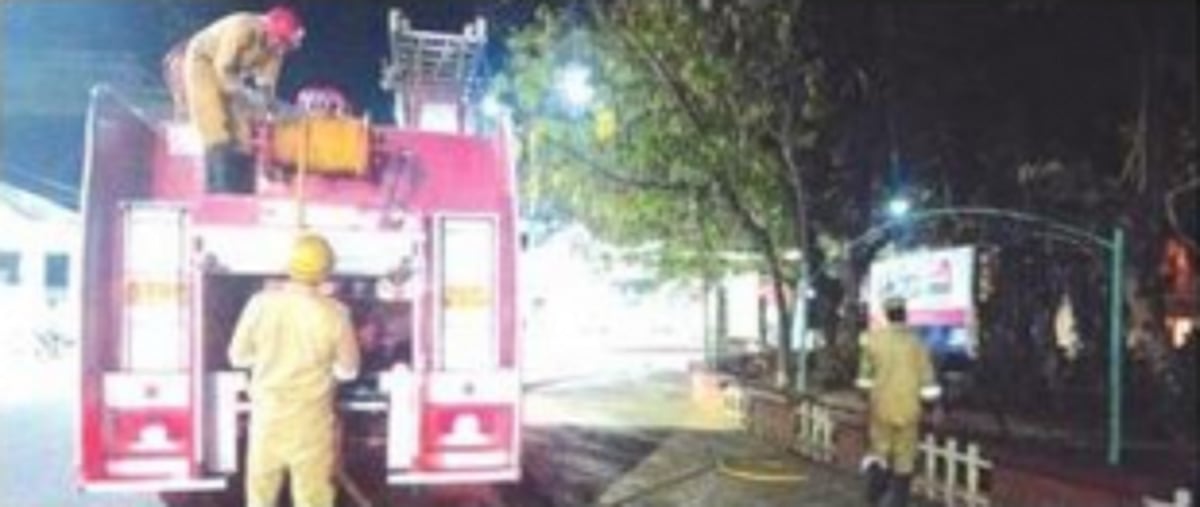 Fallen tree in Aga Khan Park set on fire, citizens irked with burning of waste