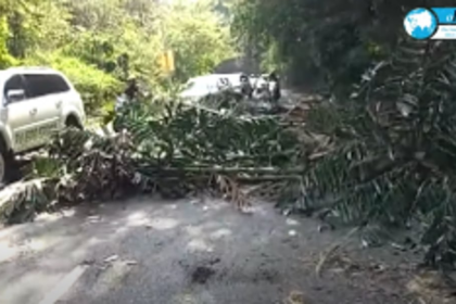 Falling branch injures two-wheeler rider at Chicalim