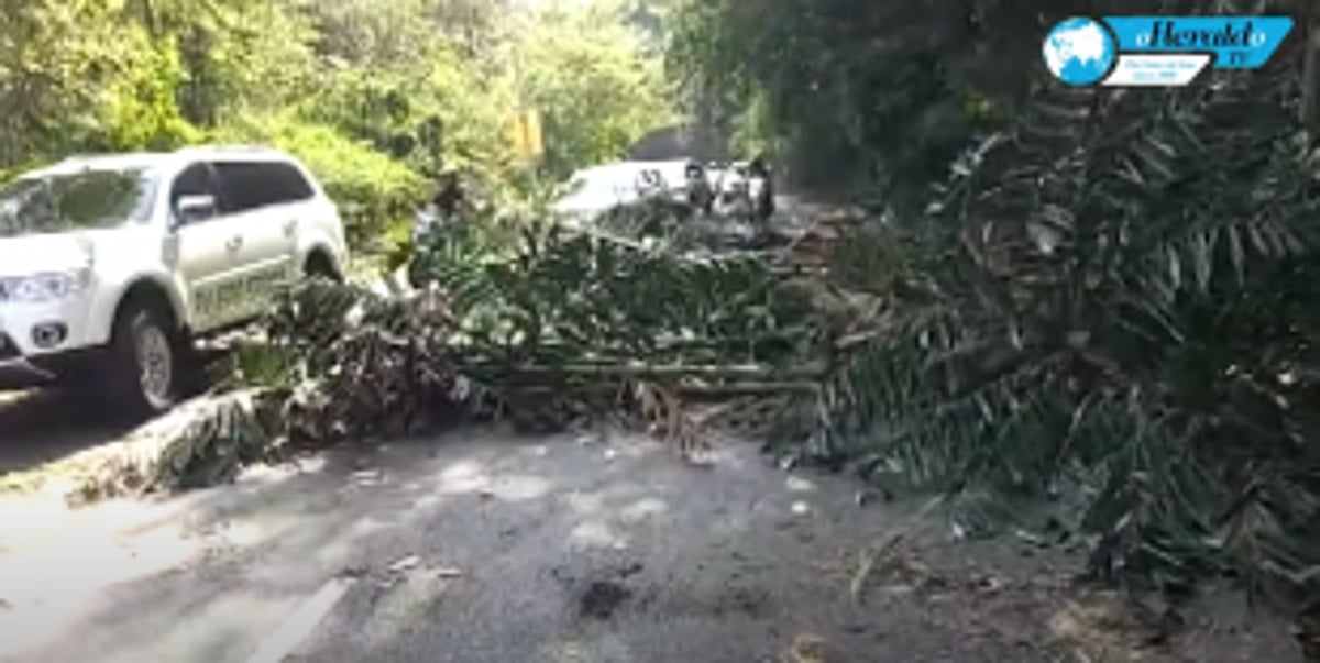 Falling branch injures two-wheeler rider at Chicalim