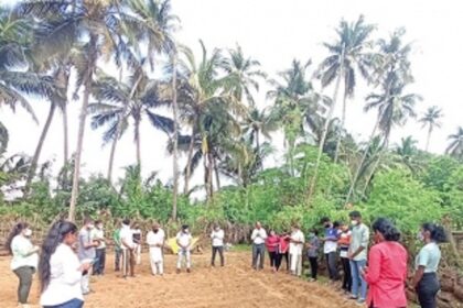 Fallow to fertile: Story of the activist Priest who got the youth to revive the soil of Chicalim