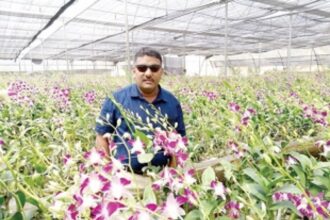 Famed flower growers of Canacona face the heat and huge losses amid lockdown