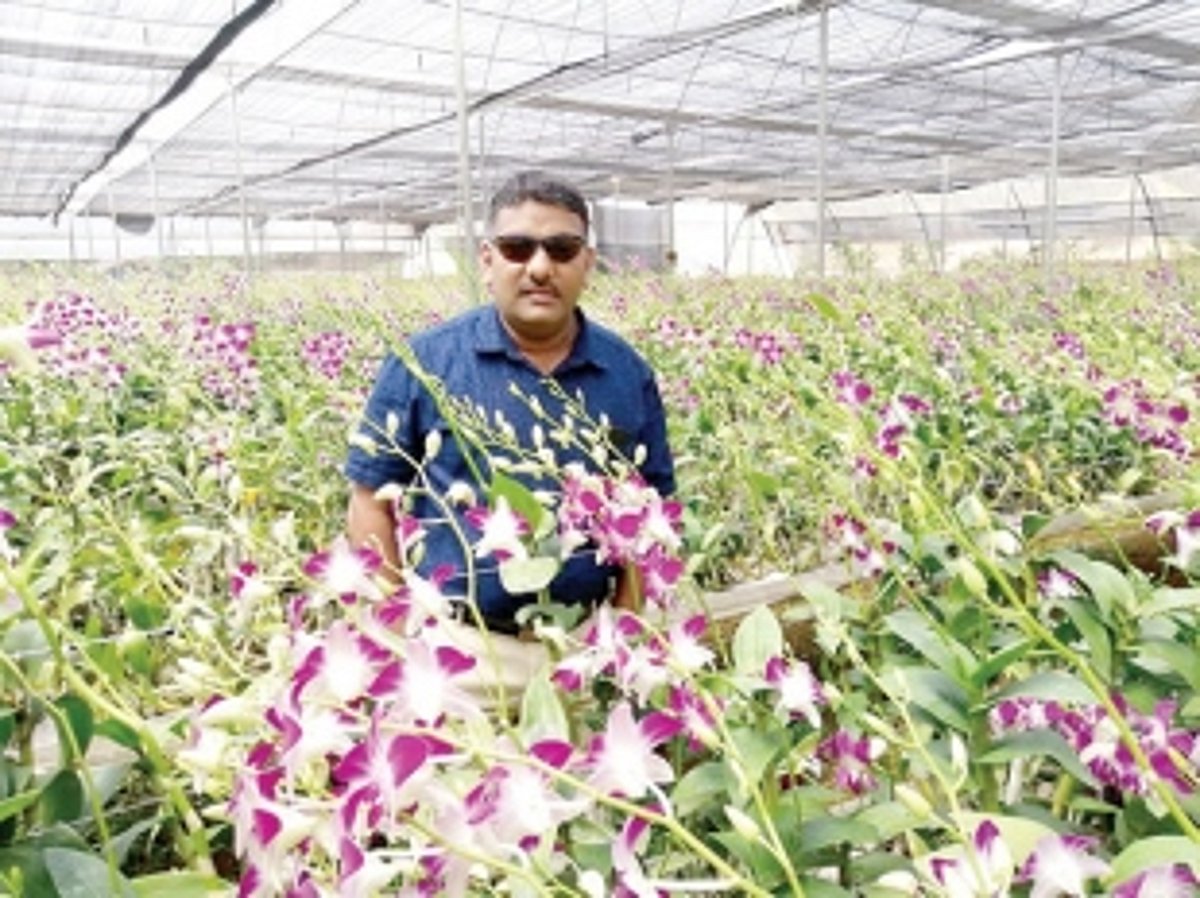 Famed flower growers of Canacona face the heat and huge losses amid lockdown