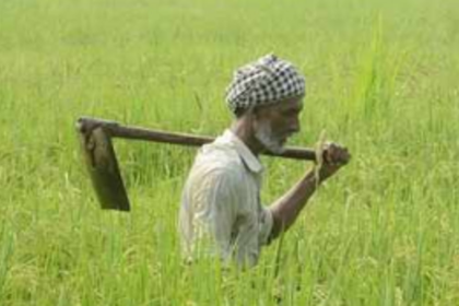 Farm Bills & Farmer’s Predicament...