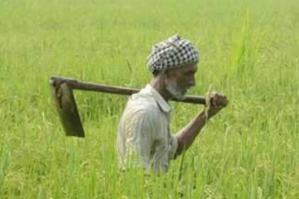Farm Bills & Farmer’s Predicament...