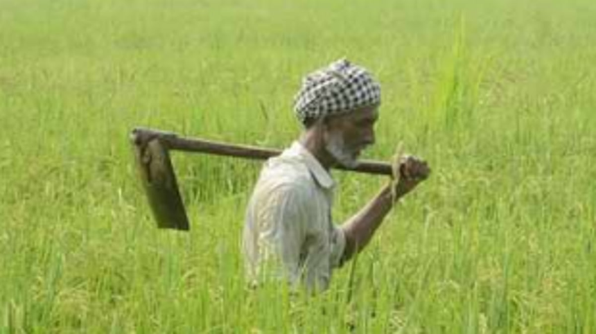 Farm Bills & Farmer’s Predicament...