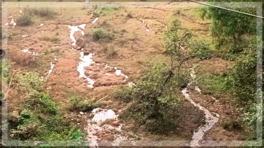 Farmers Demand Action as Highway Expansion Devastates Fertile Land