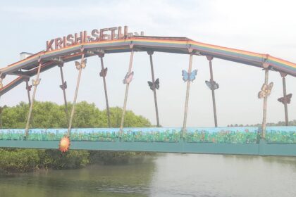 Farmers Not Using Krishi Setu Bridge Despite Government Investment, Says Cumbarjua Sarpanch