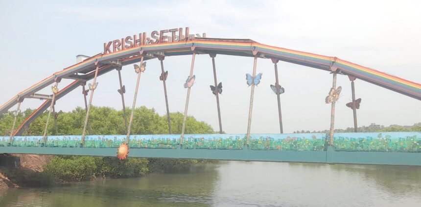 Farmers Not Using Krishi Setu Bridge Despite Government Investment, Says Cumbarjua Sarpanch 1 Farmers Not Using Krishi Setu Bridge Despite Government Investment, Says Cumbarjua Sarpanch