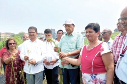 Farmers, agriculture dept officials  hold inspection of Saipem lake