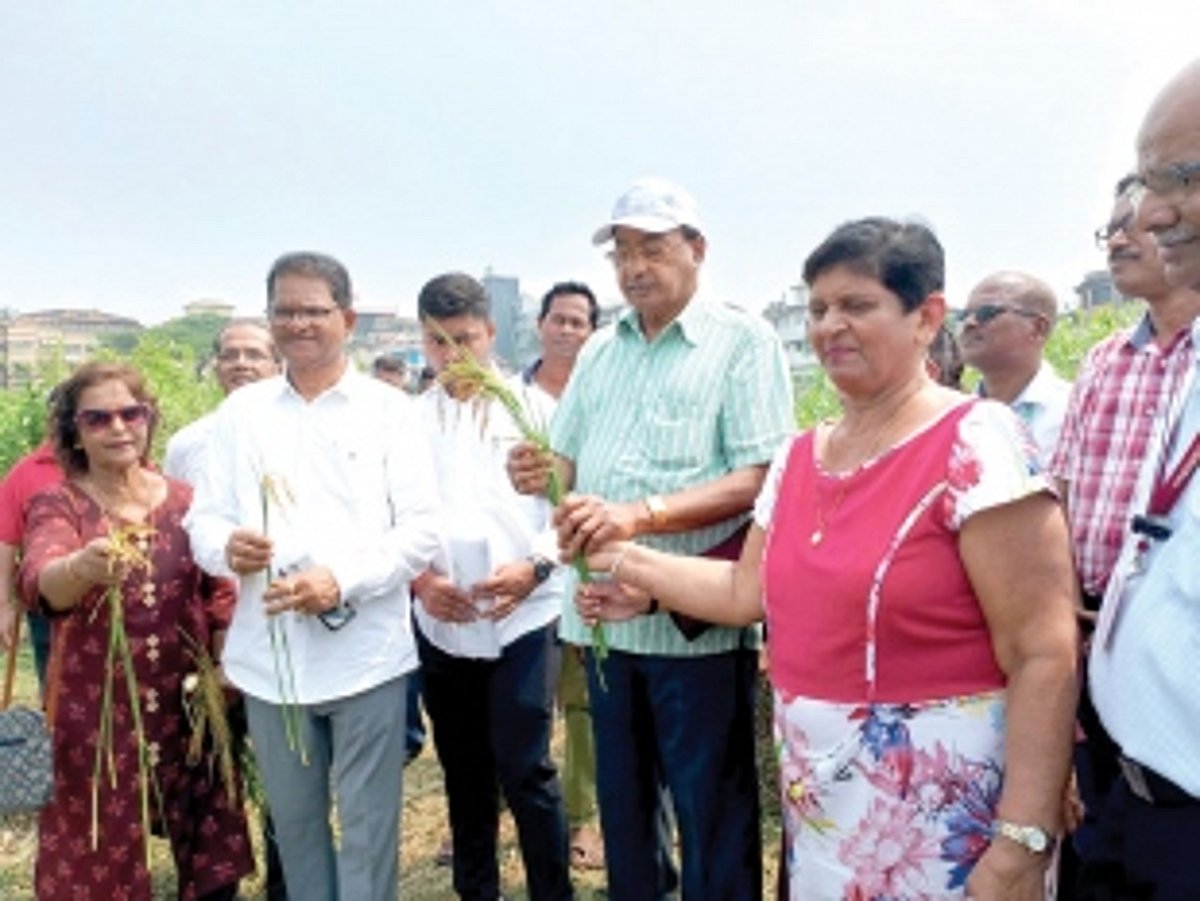 Farmers, agriculture dept officials  hold inspection of Saipem lake