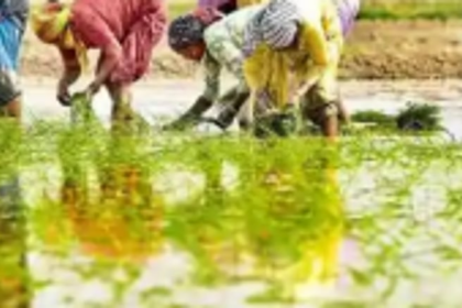 Farmers assumes absence of migrant workers will affect monsoon crop