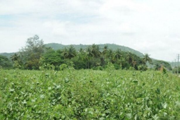 Farmers at IIT site simmer with anger due to police harassment