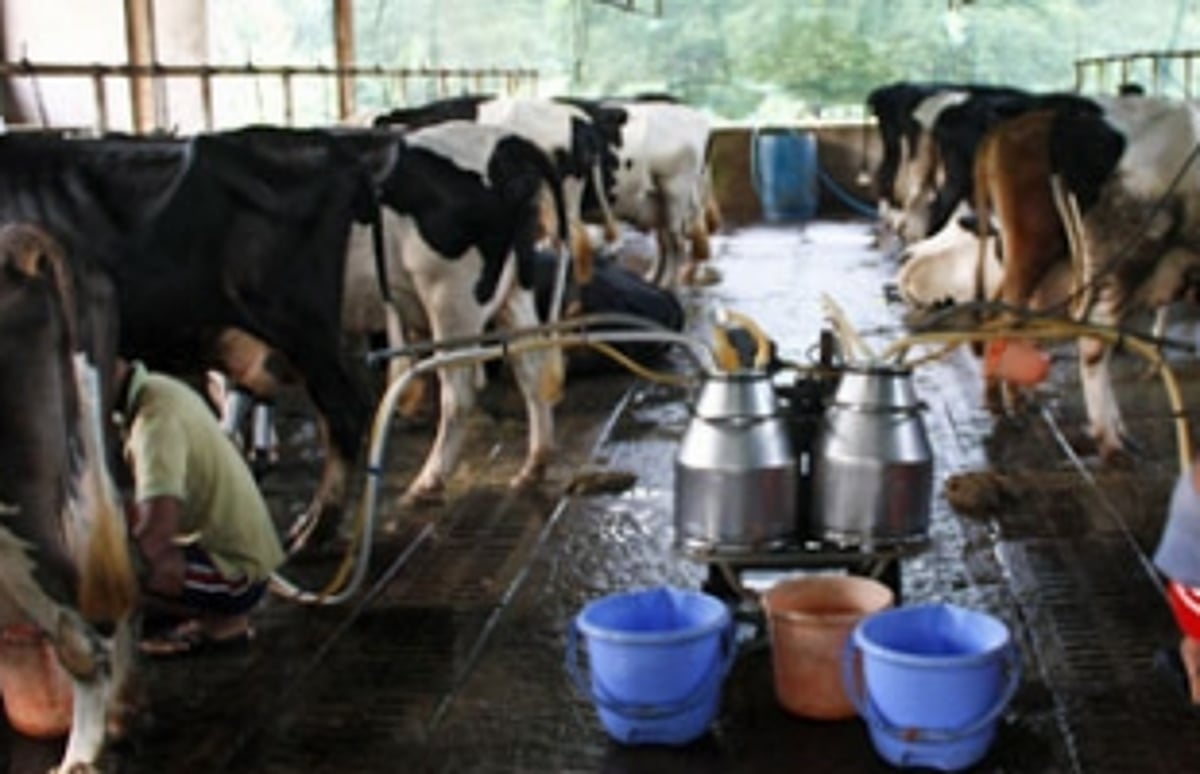 Farmers demand fresh elections for Goa Dairy Board