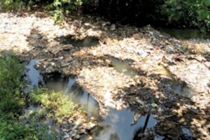 Farmers demand strong action against dumping of waste into Ponda creek