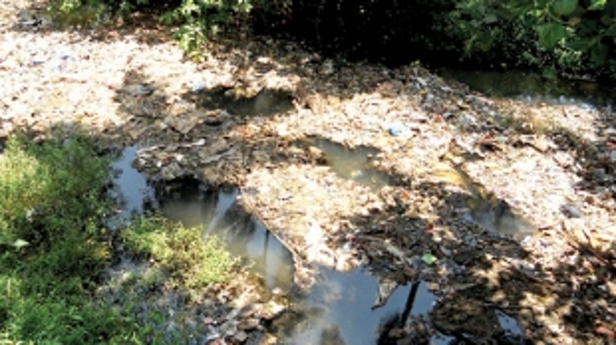 Farmers demand strong action against dumping of waste into Ponda creek