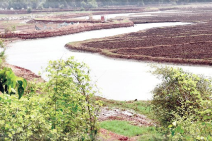 Farmers from Loutolim and Borim Disappointed as NGT Hearing on Borim Bridge Adjourned to April 23