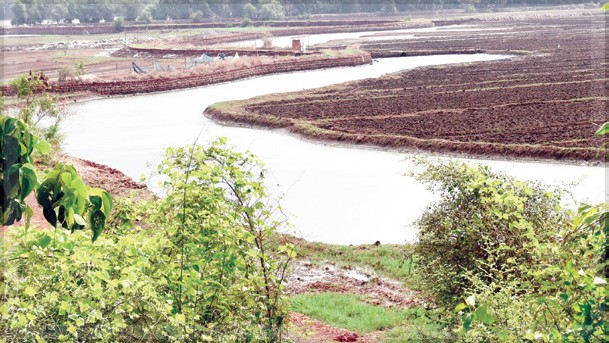 Farmers from Loutolim and Borim Disappointed as NGT Hearing on Borim Bridge Adjourned to April 23