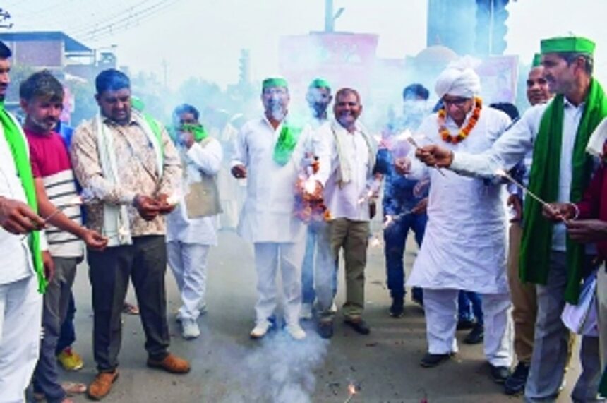 Farmers harvest the fruit of their efforts