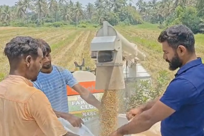 Farmers in Nuvem Celebrate Successful Harvest After Reviving Abandoned Paddy Fields