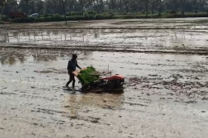 Farmers in Nuvem Take Initiative to Cultivate Fallow Lands, Promoting Environmental Rejuvenation
