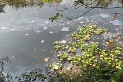 Farmers in Seraulim Face Imminent Threat as Sewage-Laden Water Endangers Agricultural Season