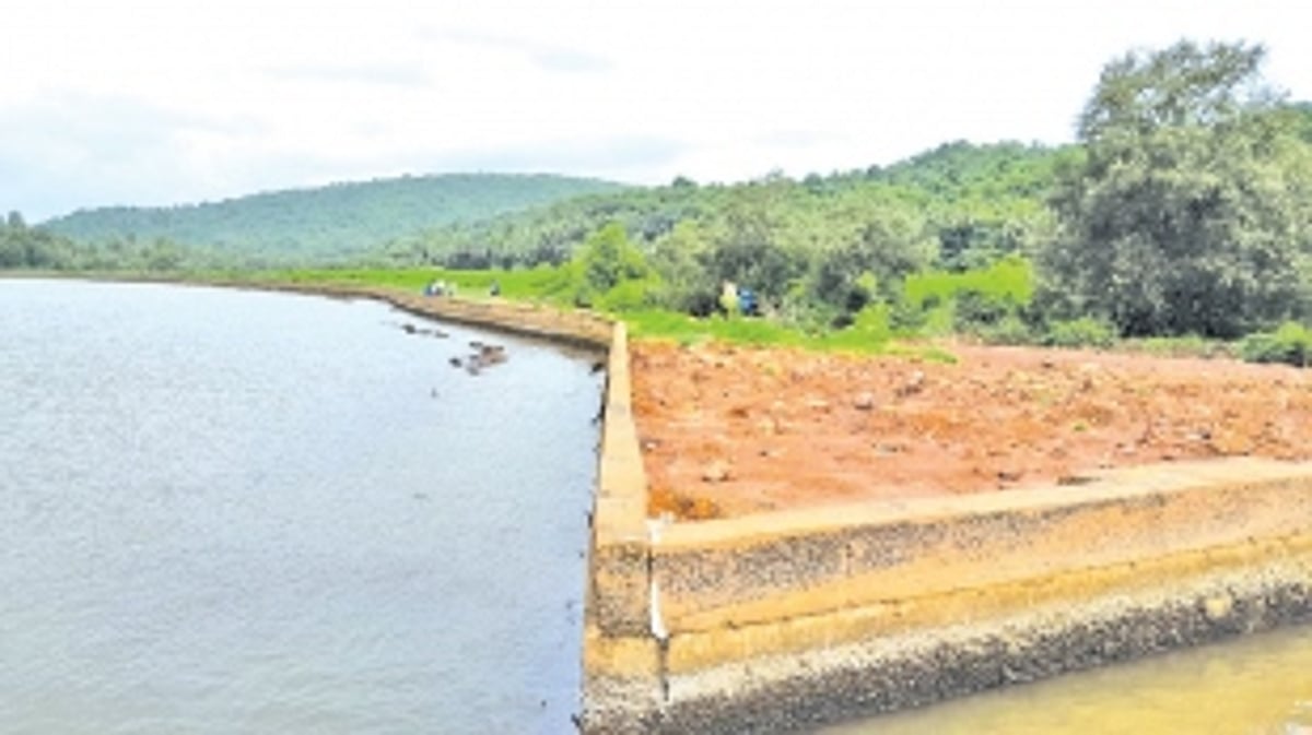 Farmers in distress as saline water ravages fields in Konadi-Korgao