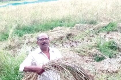 Farmers of Talaulim and Borim turn to ‘black’ to bring fallow fields back