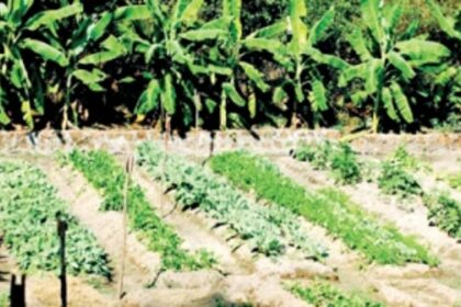 Farmers put to inconvenience