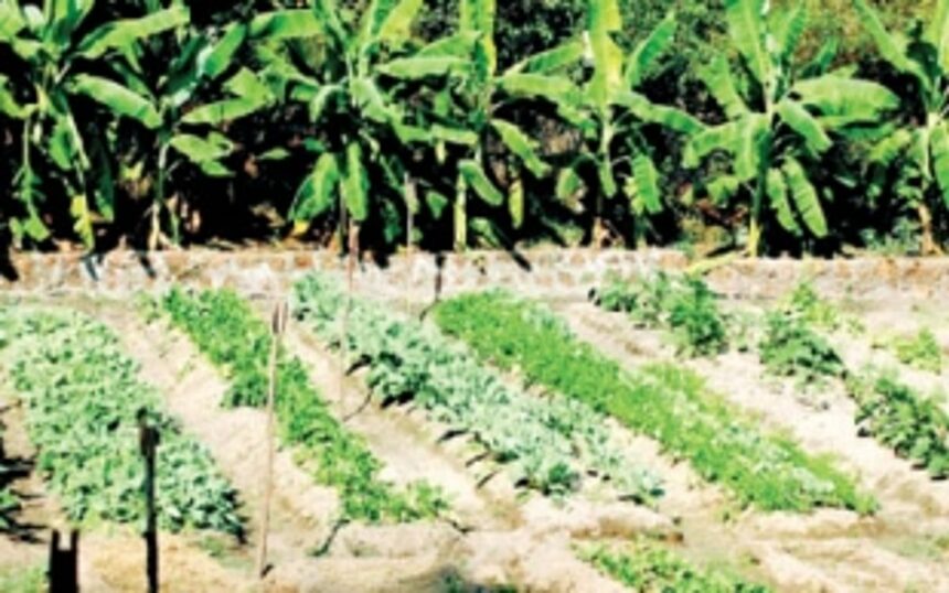Farmers put to inconvenience 1 Farmers put to inconvenience