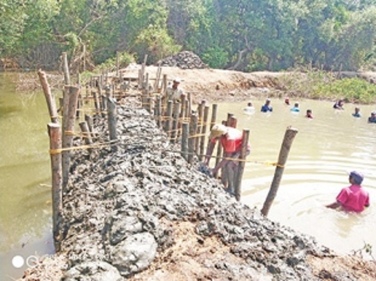 Farmers stop saltwater ingress  into Chorao khazan lands