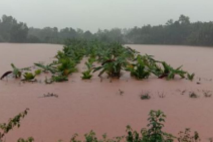 Farmers suffered huge losses due to floods: Goa Dairy
