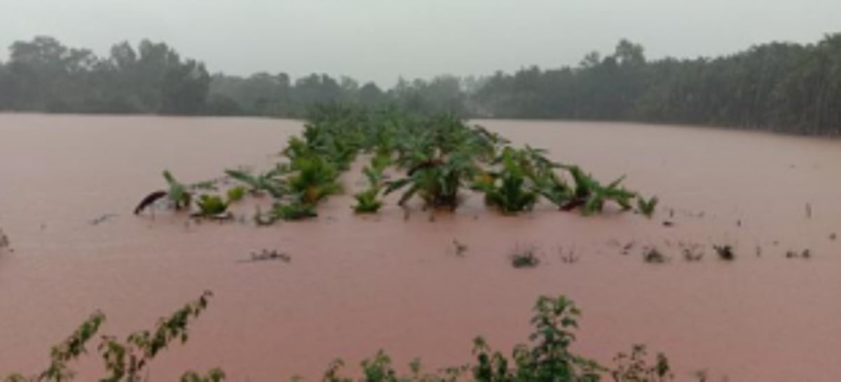 Farmers suffered huge losses due to floods: Goa Dairy