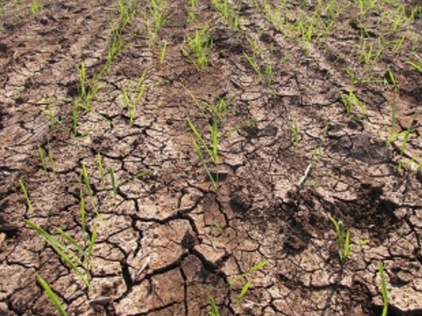 Farmers urge MLA to resolve water shortage