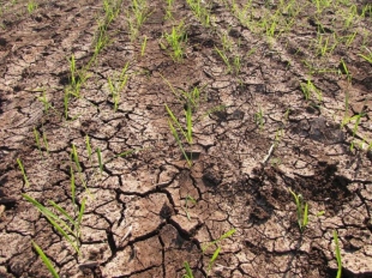 Farmers urge MLA to resolve water shortage