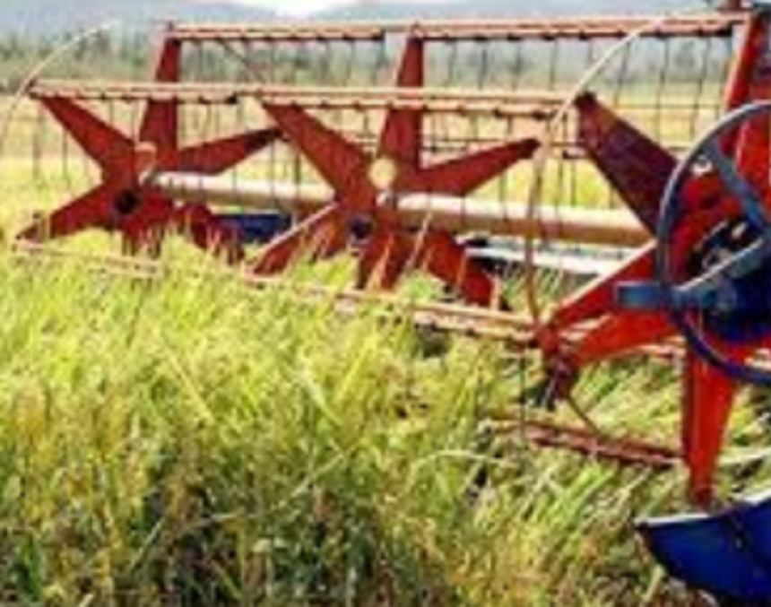 Farmers worried over absence of harvesting machine operators 1 Farmers worried over absence of harvesting machine operators