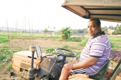 Farming  in the middle of concrete Panjim!