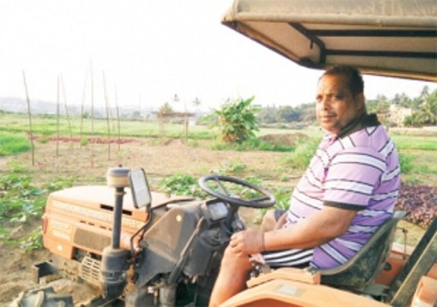 Farming in the middle of concrete Panjim!