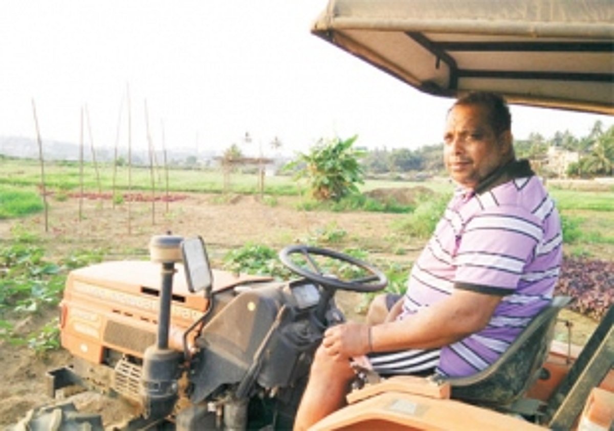 Farming  in the middle of concrete Panjim!