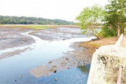 Fate of wetlands: Coastal ground water in peril