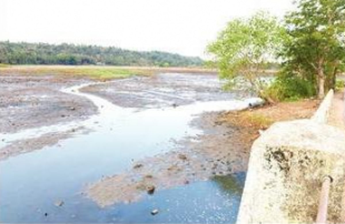 Fate of wetlands: Coastal ground water in peril