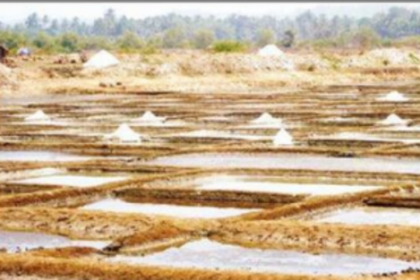 Fate of wetlands: The absurd CRZ Amendment 2020