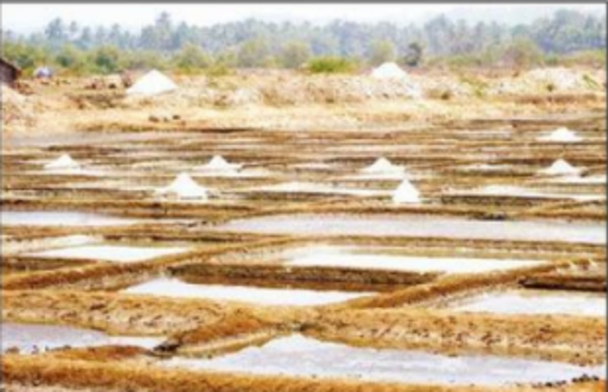 Fate of wetlands: The absurd CRZ Amendment 2020 1 Fate of wetlands: The absurd CRZ Amendment 2020