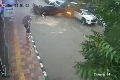 Father-daughter duo injured as tree falls on bike in rain-hit Delhi