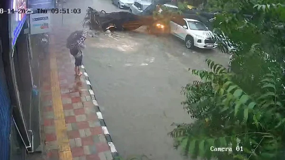 Father-daughter duo injured as tree falls on bike in rain-hit Delhi