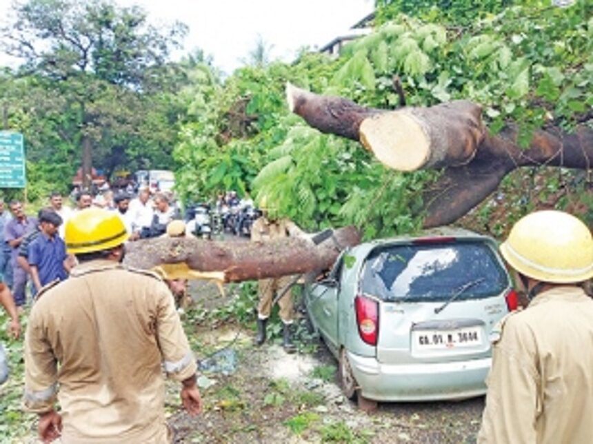 Father, son hurt as tree falls on moving car 1 Father, son hurt as tree falls on moving car