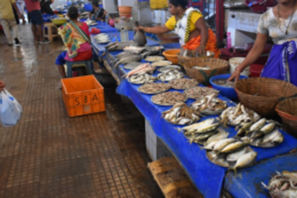 Fatorda MLA, farmers resist expansion of  wholesale fish market